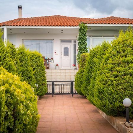 Vineyard Country House With Panoramic Seaview อเล็กซานโดรโพลิส ภายนอก รูปภาพ