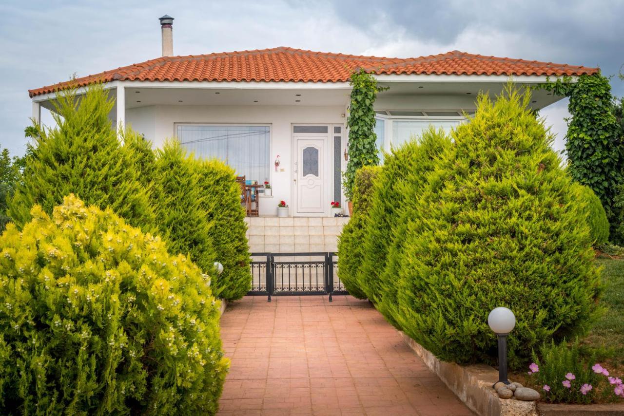 Vineyard Country House With Panoramic Seaview อเล็กซานโดรโพลิส ภายนอก รูปภาพ