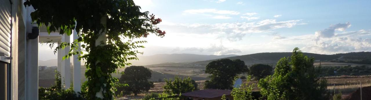 Vineyard Country House With Panoramic Seaview อเล็กซานโดรโพลิส ภายนอก รูปภาพ