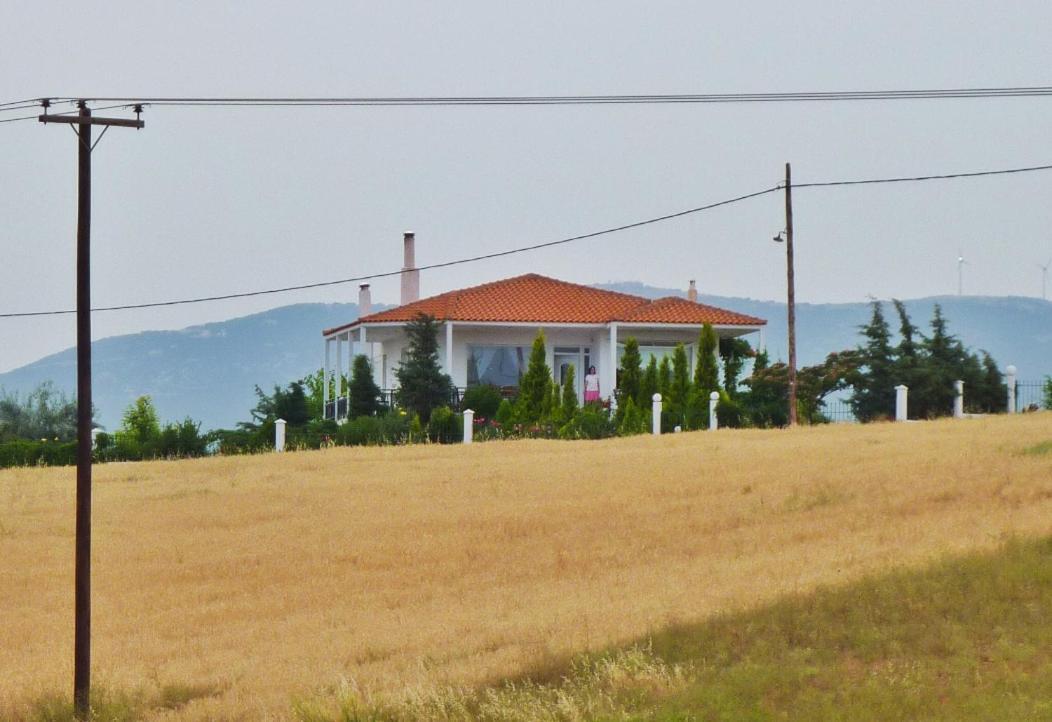 Vineyard Country House With Panoramic Seaview อเล็กซานโดรโพลิส ภายนอก รูปภาพ
