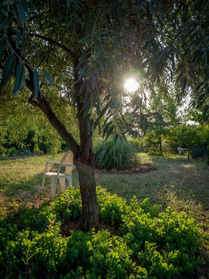 Vineyard Country House With Panoramic Seaview อเล็กซานโดรโพลิส ภายนอก รูปภาพ
