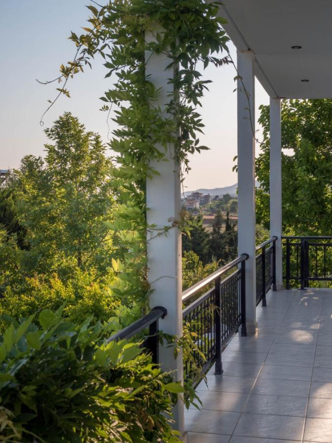 Vineyard Country House With Panoramic Seaview อเล็กซานโดรโพลิส ภายนอก รูปภาพ
