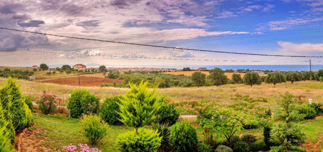 Vineyard Country House With Panoramic Seaview อเล็กซานโดรโพลิส ภายนอก รูปภาพ