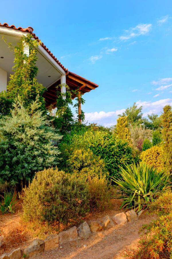 Vineyard Country House With Panoramic Seaview อเล็กซานโดรโพลิส ภายนอก รูปภาพ