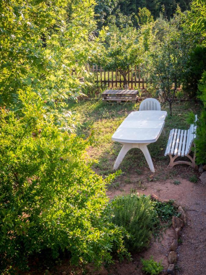 Vineyard Country House With Panoramic Seaview อเล็กซานโดรโพลิส ภายนอก รูปภาพ
