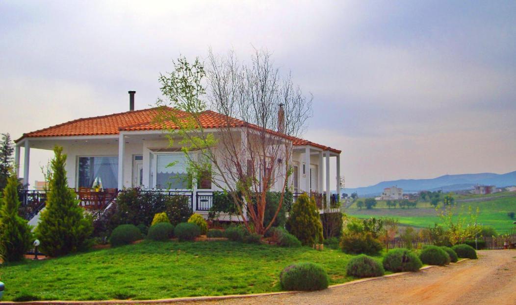 Vineyard Country House With Panoramic Seaview อเล็กซานโดรโพลิส ภายนอก รูปภาพ