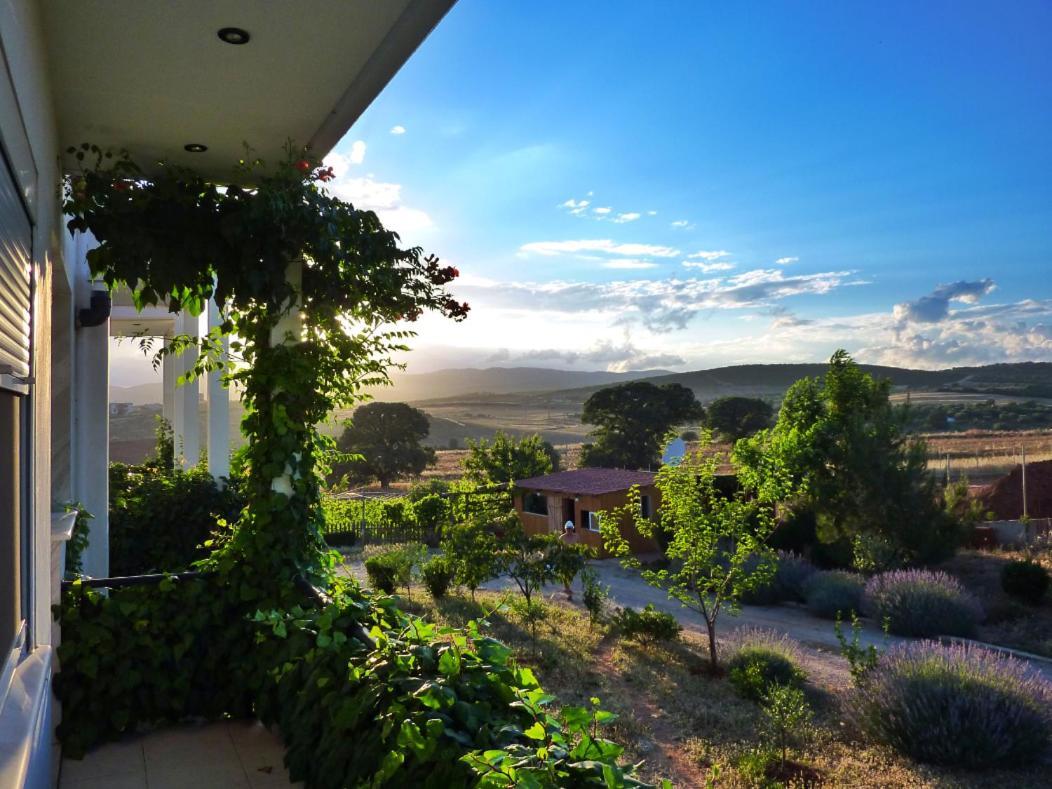 Vineyard Country House With Panoramic Seaview อเล็กซานโดรโพลิส ภายนอก รูปภาพ
