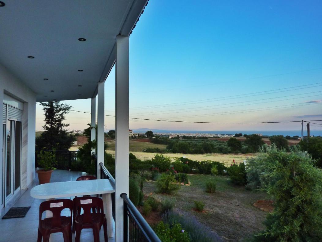 Vineyard Country House With Panoramic Seaview อเล็กซานโดรโพลิส ภายนอก รูปภาพ